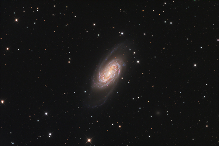 NGC 2903